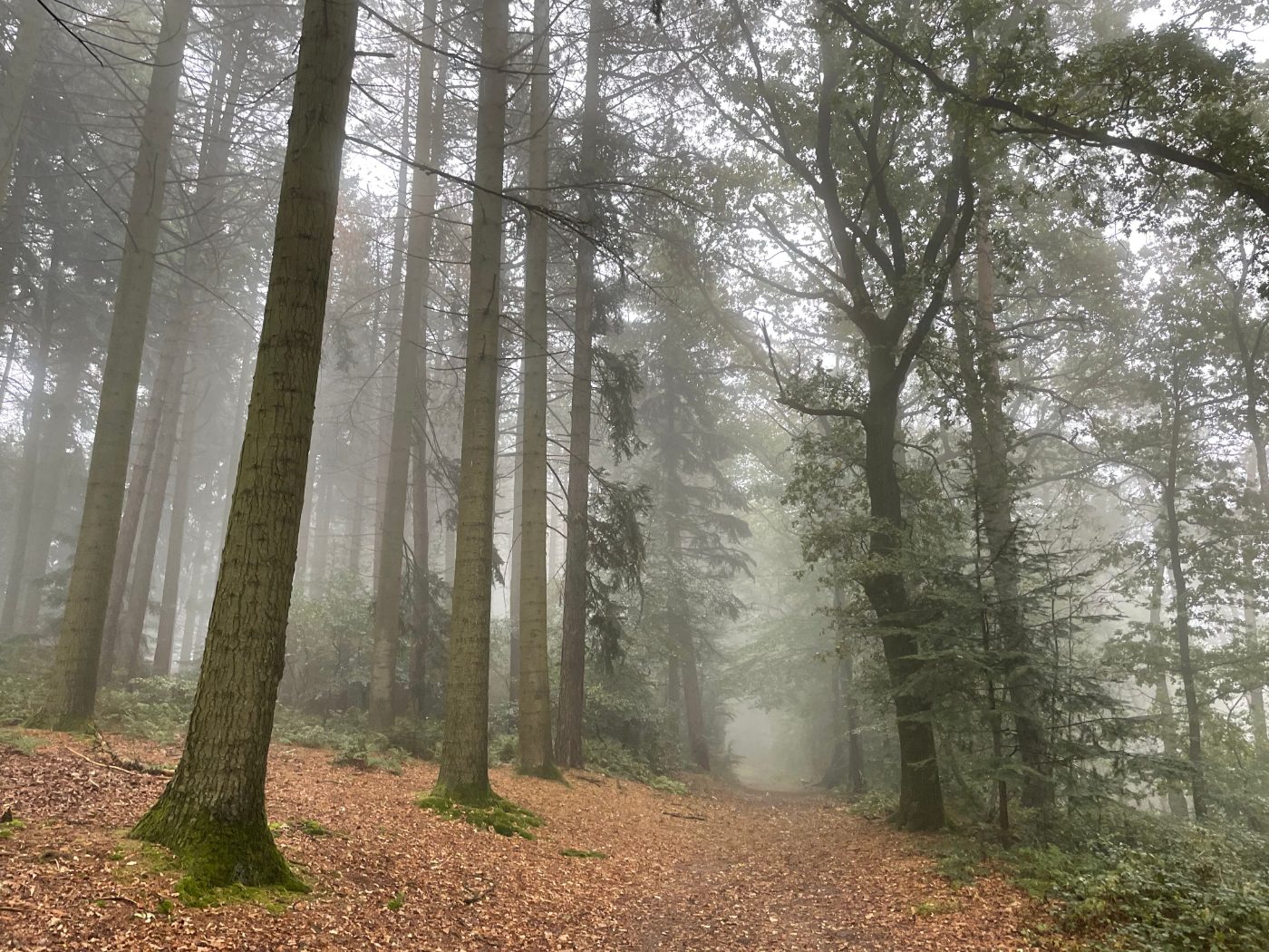 Foto van Geert op Pexels