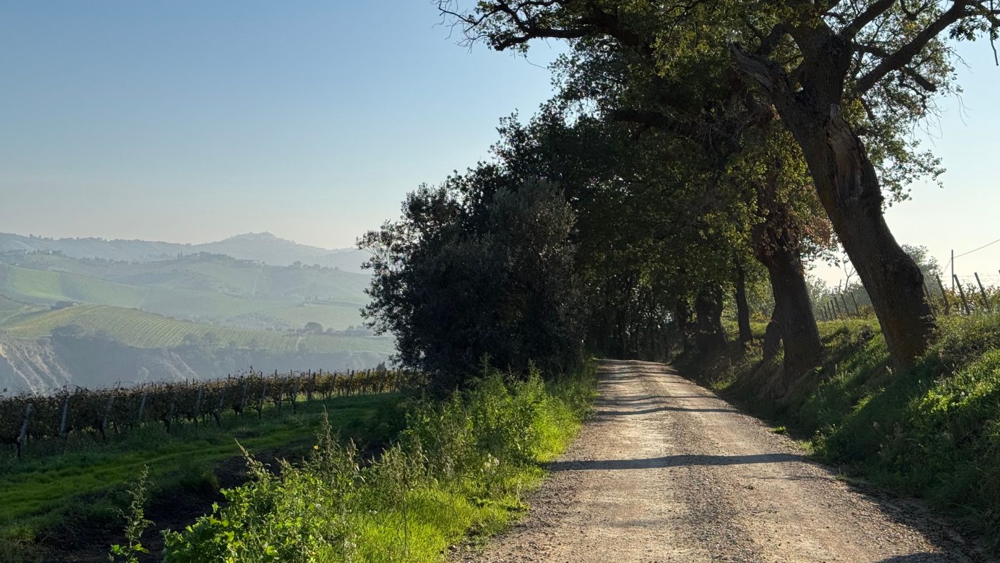 Foto van Geert op Pexels